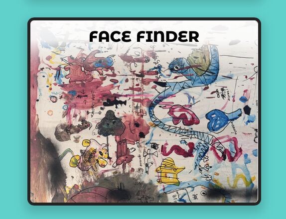 Face Finder Example